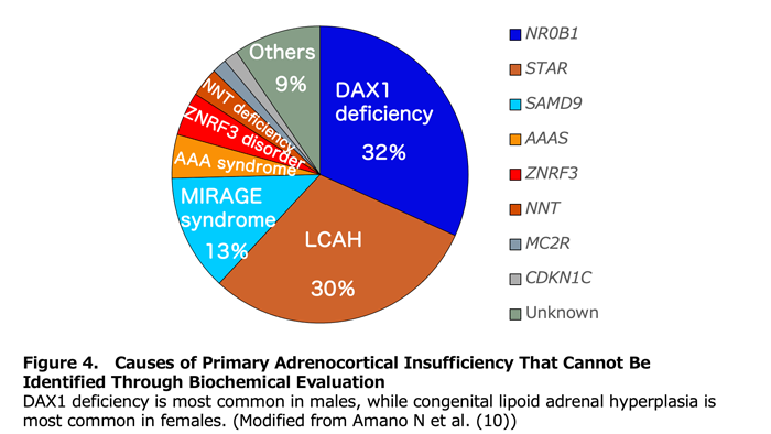 Figure 4. Causes of Primary Adrenocortical Insufficiency That Cannot Be Identified Through Biochemical Evaluation