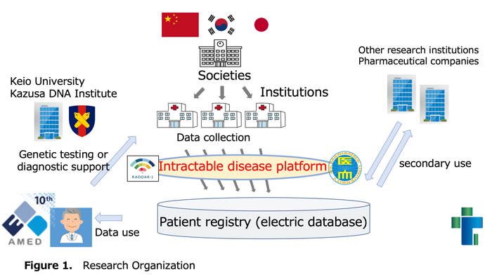 Figure 1.Research Organization

